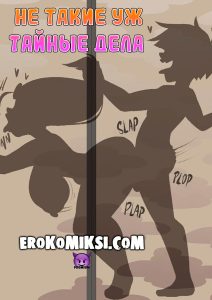 Секс комикс One Piece. Не такие уж тайные дела